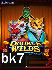 Explorando o Mundo de DoubleWilds: O Jogo do Momento